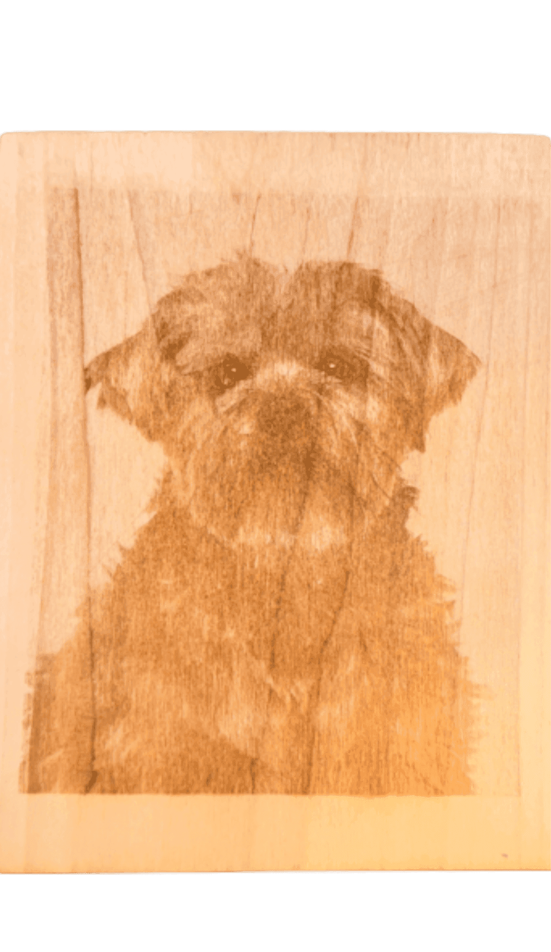 Custom Animal Plaque, engraved pine