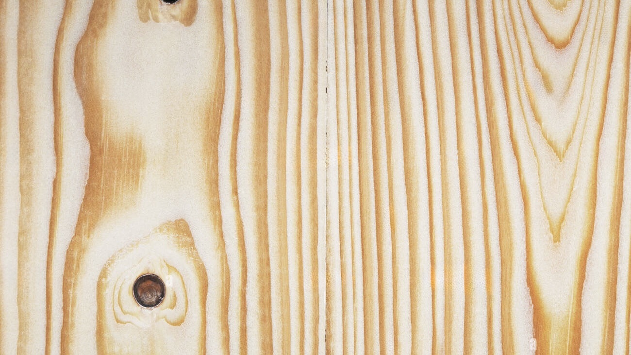 Image of Pine Wood